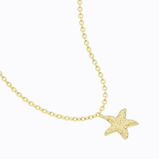 Starfish Necklace